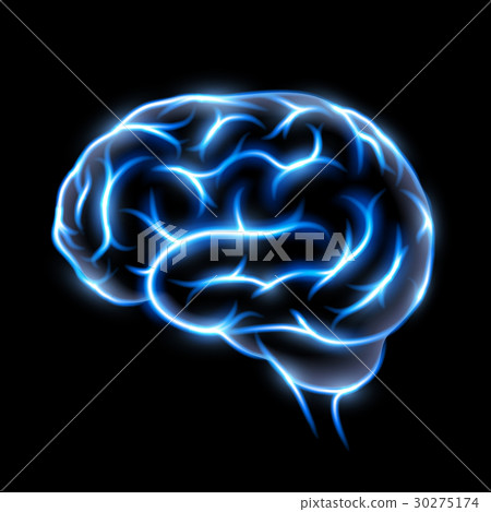 human brain. Stock illustration. 30275174