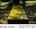 A bench where a moss grew 30275730