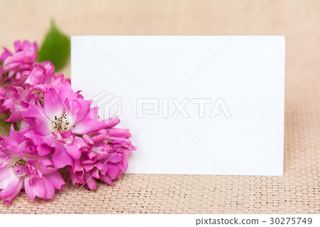 Flowers greeting card Flowers greeting card 30275749