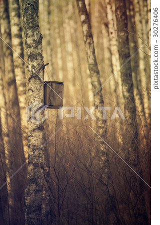Nesting box in the forest 30276406