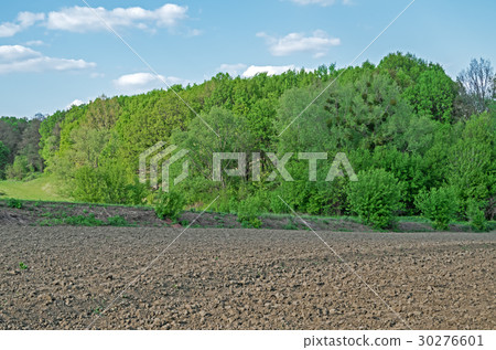 Cultivated agricultural land 30276601