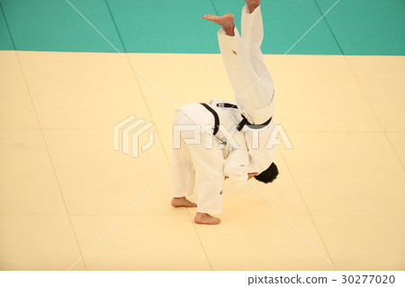 Judo technique 30277020