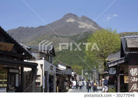 Tsubota road of Yufuin Yu in fresh green 30277046