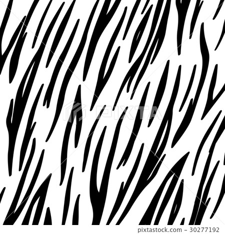 zebra skin background zebra skin background 30277192