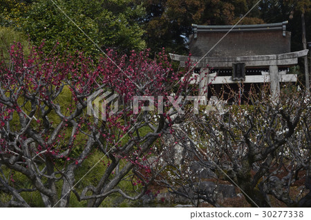 Serikawa Tenman-gu Shrine 30277338