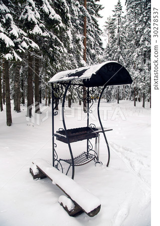 Indoor brazier in winter in the woods 30278537