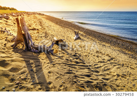 Whitefish Point, Michigan 30279458