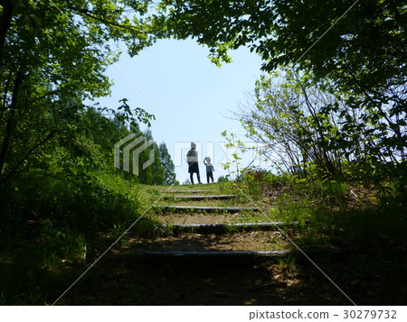 Picnic picnic Yahoo 30279732