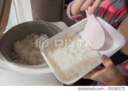 putting white rice in bento box 30280172