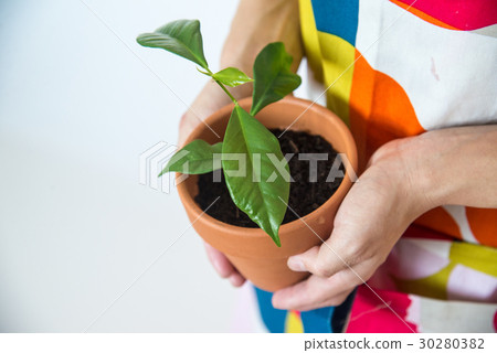 girl holding pod 30280382