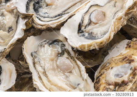 Raw oysters  30280913