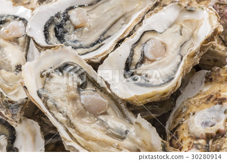 Raw oysters  30280914