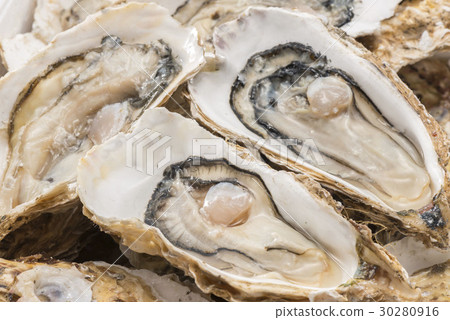 Raw oysters  30280916