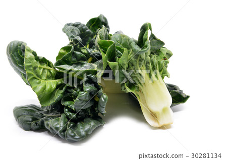 Milk cabbage bok choy Milk cabbage bok choy 30281134