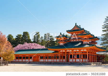 天堂金谷支櫻花 30281880