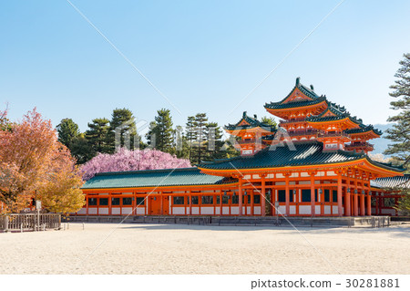 天堂金谷支櫻花 天堂金谷支櫻花 30281881