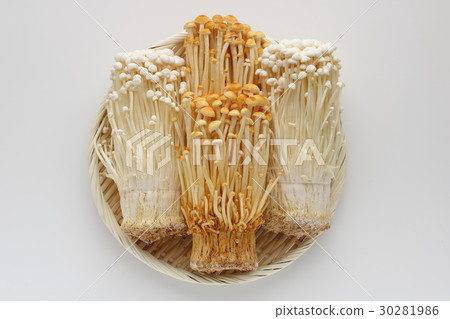 Enoki mushrooms Enoki mushrooms 30281986