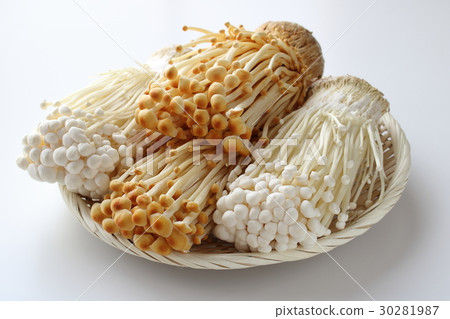 Enoki mushrooms 30281987