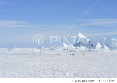 Beautiful view of icebergs Snow Hill Antarctica 30282126