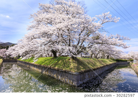 龍卡五棱郭 龍卡五棱郭 30282597