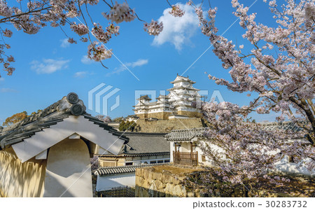 Spring landscape of Himeji Castle Spring landscape of Himeji Castle 30283732