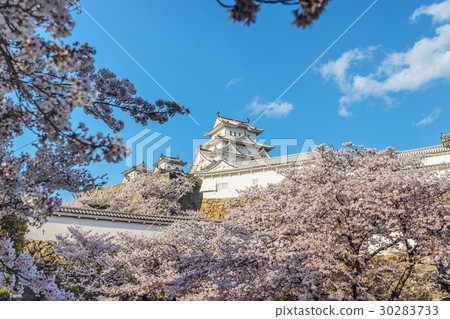 Spring landscape of Himeji Castle Spring landscape of Himeji Castle 30283733