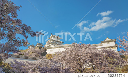 Spring landscape of Himeji Castle Spring landscape of Himeji Castle 30283734