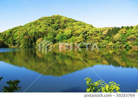 New green landscape 30283769