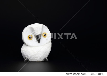 owl   30283890