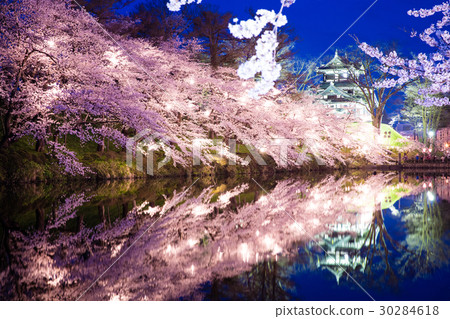 高田公園的櫻花 30284618