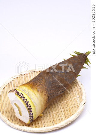 時令蔬菜筍 時令蔬菜筍 30285519