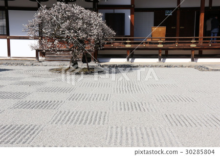 Shogoin Shogoin 30285804