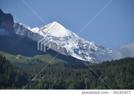 Swiss Jungfrau Swiss Jungfrau 30285977