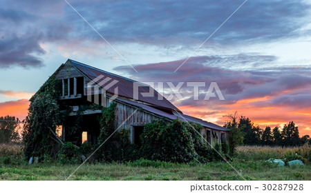 Old Wooden Farm Shed Old Wooden Farm Shed 30287928