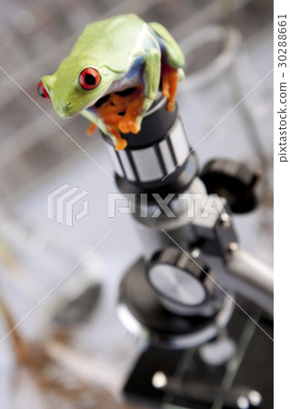 Plants in lab Plants in lab 30288661