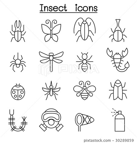 Insect & bug icon set in thin line style 30289859