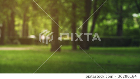 blurred background of city park in summer day 30290164