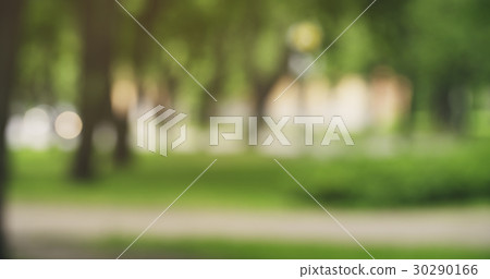 blurred background of city park in summer day 30290166