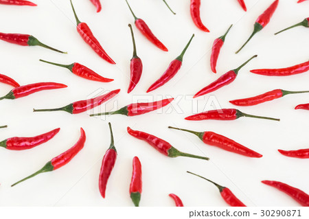 red hot chili peppers, popular spices concept - red hot chili peppers, popular spices concept - 30290871