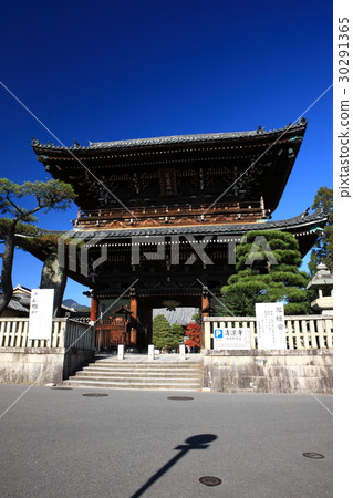 井岡寺秋葉 30291365