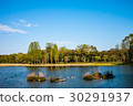 Refreshing blue sky 30291937