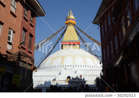 博達哈 博達哈 30292013