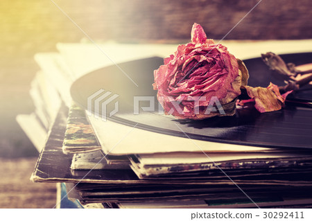 dry rose on  old records 30292411