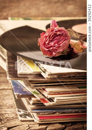 dry rose on  old records 30292412