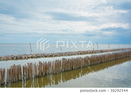 Bamboo shore erosion along the waves of the sea. Bamboo shore erosion along the waves of the sea. 30292544