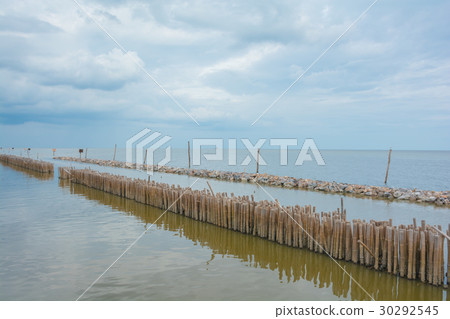 Bamboo shore erosion along the waves of the sea. Bamboo shore erosion along the waves of the sea. 30292545