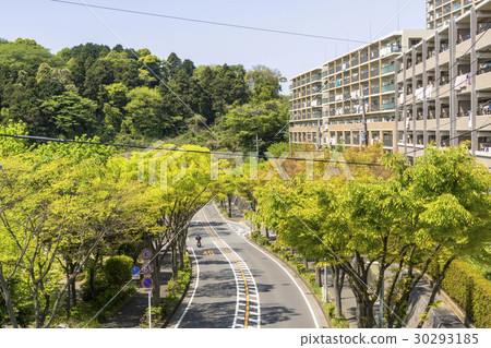 Yamanote residential area in Yokohama 30293185