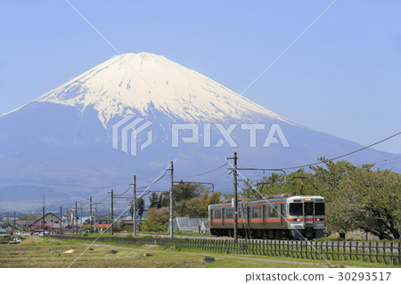 Fuji of the fresh green Gotemba line and snowfall 30293517