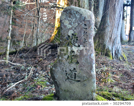 塔基方式 30294709