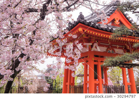 Sanjusangendo櫻桃樹 30294797